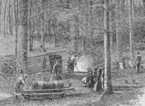 At the Maple Syrup Camp, illustration from 'Harper's Weekly' by American School