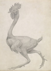 Fowl: Lateral view with Most Feathers Removed by George Stubbs