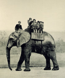 A Farewell Ride on Jumbo, from 'The Illustrated London News' von English School