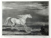 Marengo, engraved by the artist von James Ward