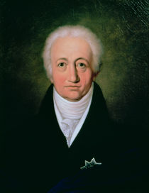 Portrait of Johann Wolfgang von Goethe von Ferdinand Jagemann