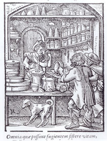 The Apothecary, published by Hartman Schopper by German School