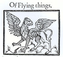 A Griffin by English School
