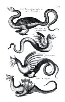 Four types of dragon von English School