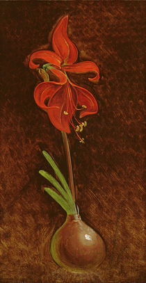 Amaryllis Formosissima, 1808 by Philipp Otto Runge