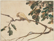 Canary on an Oak Tree Branch by Adolph Friedrich Erdmann von Menzel
