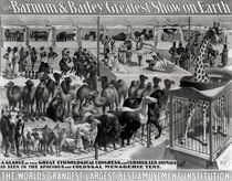 Poster advertising, 'The Barnum and Bailey Greatest Show on Earth by American School