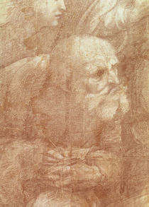 The School of Athens, detail of the cartoon depicting an elderly man von Raphael