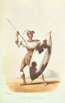 Lingap, a Matabili Warrior by William Cornwallis Harris