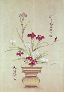 Orchids by Japanese School