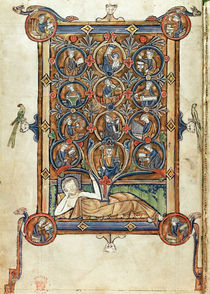 Ms 21926 The Tree of Jesse from a psalter by English School