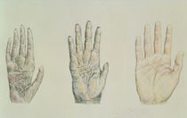 Hands of a primate and a human von English School