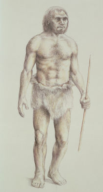Neanderthal Man by English School
