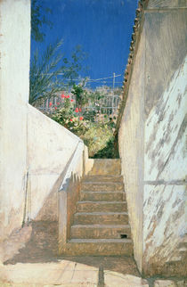 Steps in a Garden, Algeria von Pavel Aleksandrovich Bryullov