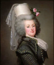 Marie-Antoinette of Habsbourg-Lorraine by Adolf Ulrich Wertmuller