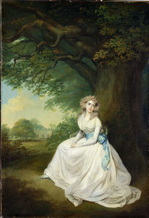 Lady Chambers, c.1789 von Arthur William Devis
