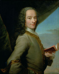 Portrait of the Young Voltaire by French School