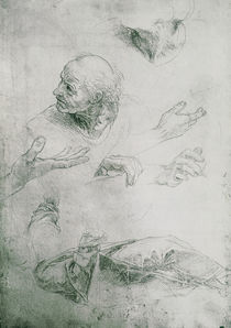 Studies for the Figure of Bramante by Raphael