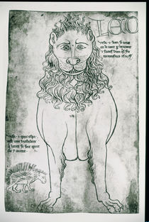 Ms Fr 19093 fol.24v Lion and Porcupine by Villard de Honnecourt