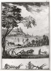Agriculture, plate I from the Encyclopaedia of Denis Diderot 1762 von French School