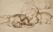The Boar Family by Martin Schongauer