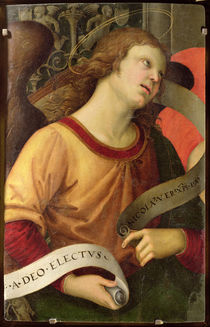 Angel, from the polyptych of St. Nicolas of Tolentino von Raphael