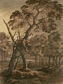 Forest Scene, A Giant Scots Fir and Forest Glade by Rev. William Gilpin