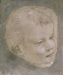 Head of a Child by Leonardo Da Vinci