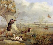 Duck Shooting von Henry Thomas Alken