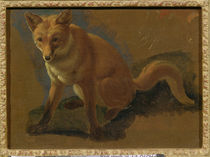 Study of a Fox von Jacques Laurent Agasse