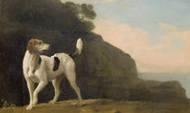 A Foxhound, c.1760 by George Stubbs