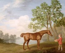 Pumpkin with a Stable-Lad, 1774 by George Stubbs