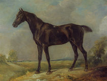 Golding Constable's Black Riding-Horse by John Constable