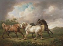 Three Horses in a Stormy Landscape von Charles Towne
