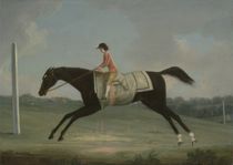 Borlase Cokayne as a Boy riding Sultana by Thomas Smith of Derby