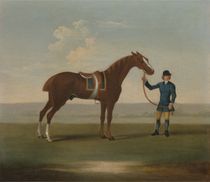 A Chestnut Horse held by a Groom von James Seymour