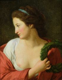 Portrait of a Young Lady von Jean Joseph Taillasson