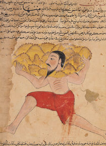 Ms E-7 fol.212a Giant Carrying Mountains by Islamic School