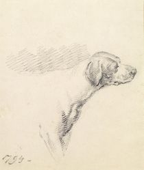 Study of a Hound, 1794 von George Morland
