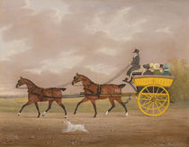 A Gentleman driving Tandem to a Jaunting Car by Edwin W. Cooper