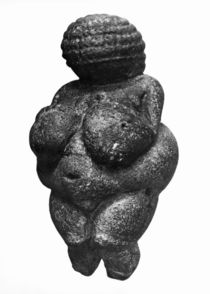 The Venus of Willendorf, side view of female figurine by Prehistoric