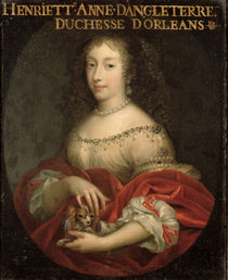Henrietta Anne Duchess of Orleans by French School