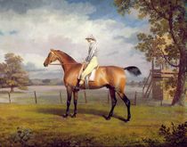 The Duke of Hamilton's Disguise with Jockey Up by George Garrard