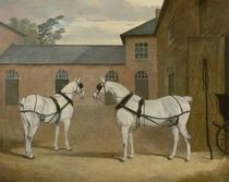 Mr. Sowerby's Grey Carriage Horses in his Coachyard at Putteridge Bury by John Frederick Herring Snr