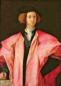 Portrait of a Young Man von Jacopo Pontormo