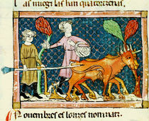 Fol.59r October: Ploughing by Matfre Ermengaut