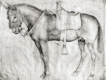 Mule, from the Vallardi Album von Antonio Pisanello
