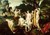 Diana bathing von Francois Clouet