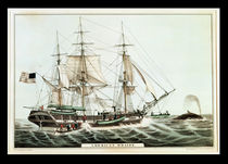 American Whaler, engraved by Nathaniel Currier von American School