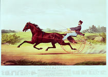 The Celebrated Horse, George M. Patchen von American School